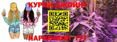 крисы Гудермес