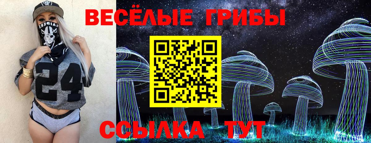 где продают   Псилоцибиновые грибы мицелий  Вход с VPN  Донской 